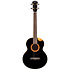 Nora Steel String Baritone EQ-A + Housse Flight
