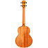 Nora Steel String Baritone EQ-A + Housse Flight