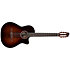 Arena Pro CW B. Burst Dual S. EQ Godin