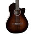 Arena Pro CW B. Burst Dual S. EQ Godin