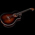 Arena Pro CW B. Burst Dual S. EQ Godin