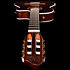 Arena Pro CW B. Burst Dual S. EQ Godin