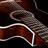 Arena Pro CW B. Burst Dual S. EQ Godin