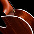 Arena Pro CW B. Burst Dual S. EQ Godin