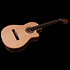 Arena Mahogany CW Classica II RN Godin