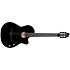 Arena Pro Ltd CW Onyx Black EQ Godin