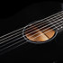 Arena Pro Ltd CW Onyx Black EQ Godin