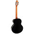 Nighthawk EQ-A Baritone + Housse Flight