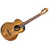 Fireball EQ-A Baritone + Housse Flight
