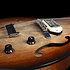 5th Avenue TL Vintage Burst HG Gold Foil Dogear Godin