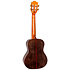 Diana CE Tenor + Housse Flight