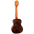 Diana Soundwave CE Tenor + Housse Flight