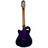 ACS Steve Stevens Signature 25th Anniversary + Étui Godin