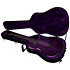 ACS Steve Stevens Signature 25th Anniversary + Étui Godin