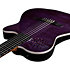 ACS Steve Stevens Signature 25th Anniversary + Étui Godin