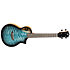 Aviator QM Tenor CE + Housse Flight