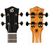 Aviator QM Tenor CE + Housse Flight