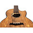 Maia Baritone EQ-A Steel String + Housse Flight