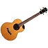 Lily Baritone EQ-A Steel String + Housse Flight