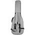 JS 45 Indigo Gray Jet Guitars