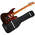 Session T-Pro LTD Kanyon Burst MN + Housse Godin