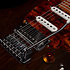 Session T-Pro LTD Kanyon Burst MN + Housse Godin