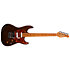 Session T-Pro LTD Kanyon Burst MN + Housse Godin