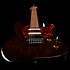 Session T-Pro LTD Kanyon Burst MN + Housse Godin