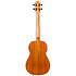 DUB38 MAH Soundwave Baritone + Housse Flight