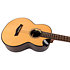 Aurora Baritone EQ-A + Housse Flight