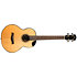 Aurora Baritone EQ-A + Housse Flight