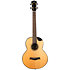 Aurora Baritone EQ-A + Housse Flight
