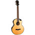 Aurora Baritone EQ-A + Housse Flight