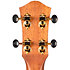 Aurora Baritone EQ-A + Housse Flight