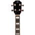 Centurion Tenor Vintage Burst + Housse Flight