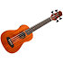 DUBS Electro-Acoustic Bass + Housse Flight