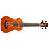 DUBS Electro-Acoustic Bass + Housse Flight