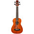 DUBS Electro-Acoustic Bass + Housse Flight