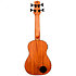 DUBS Electro-Acoustic Bass + Housse Flight