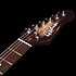 Session Ltd T-Pro Kanyon Burst Hangover RN Godin