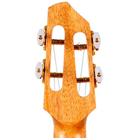 Flight A10 MM Mango Dragon Tenor 10th Anniversary + Housse
