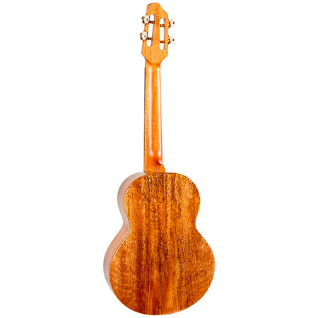 A10 MM Mango Dragon Tenor 10th Anniversary + Housse Flight
