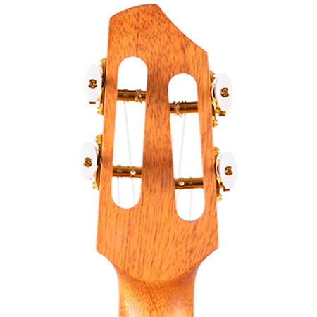 A10 SC Cocobolo Dragon Tenor 10th Anniv + Housse Flight