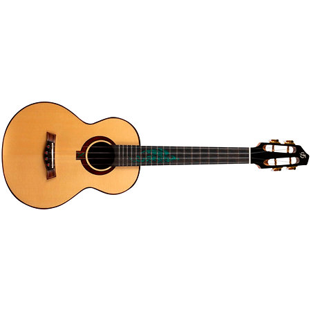A10 SC Cocobolo Dragon Tenor 10th Anniv + Housse Flight