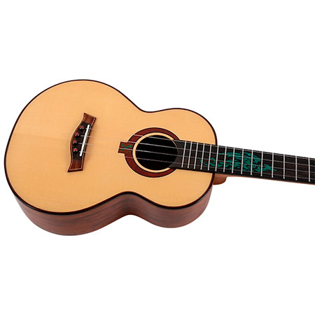 A10 SC Cocobolo Dragon Tenor 10th Anniv + Housse Flight