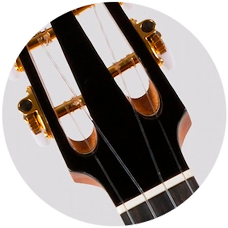 A10 SC Cocobolo Dragon Tenor 10th Anniv + Housse Flight