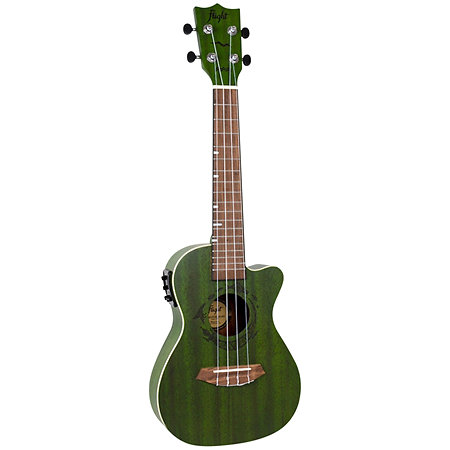 DUC380 CEQ Jade Concert + Housse Flight