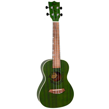 DUC380 Jade Concert + Housse Flight