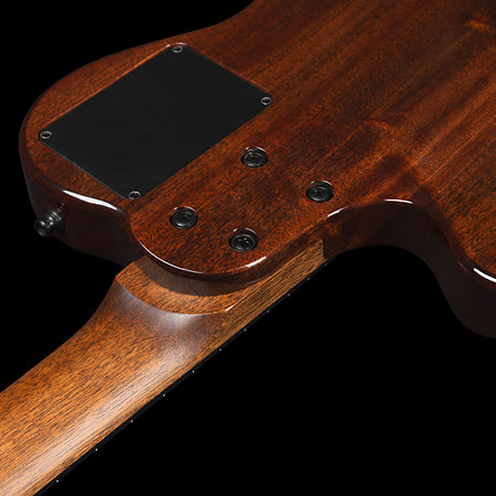 Multiac Grand Concert Mahogany Deluxe Godin