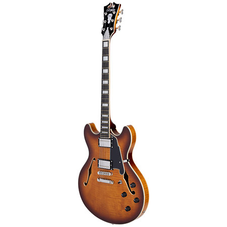 Premier DC Dark Iced Tea Burst D'Angelico